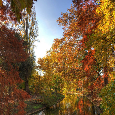 Remèdes naturels automne hiver