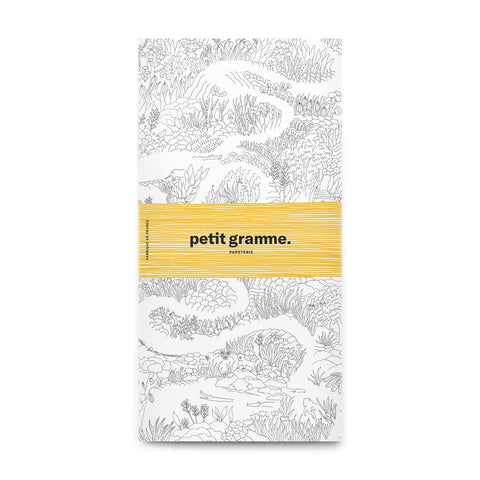 Affiche à colorier Amazonie