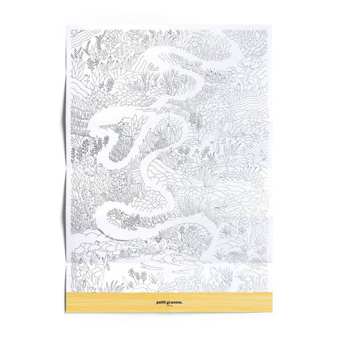 Affiche à colorier Amazonie