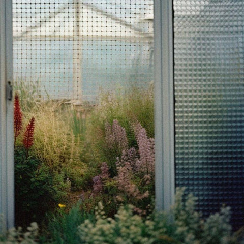 Bougie Parfumée - Fleur De Romarin - Coutume