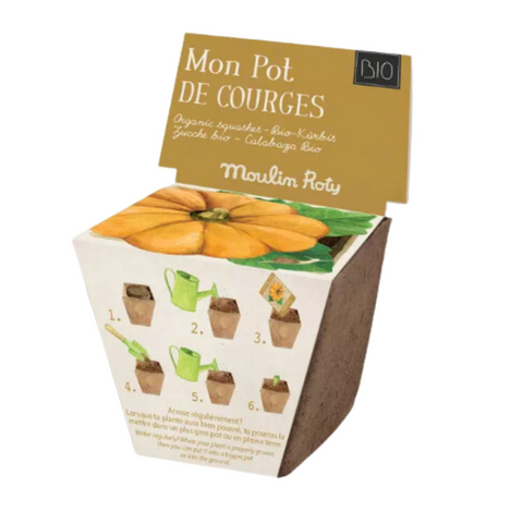 Pot de graines courge Le jardin du Moulin