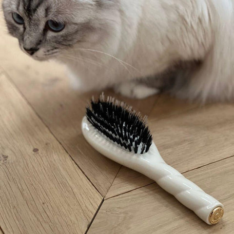 Petite brosse à cheveux "L'indispensable n°02" Soin et démêlage blanc crème La Bonne Brosse