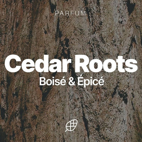 Huile à barbe - Cedar Roots