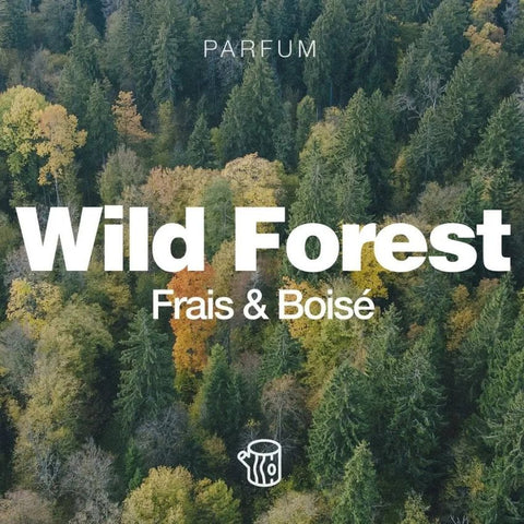 Huile à barbe - Wild Forest