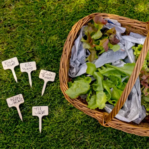 Étiquettes de jardinière redecker