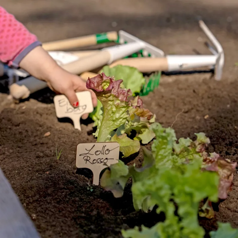 Étiquettes de jardinière redecker