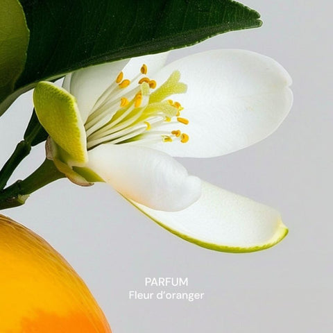 Spray Multi-Surfaces Rechargeable - Fleur d'oranger - 290ml
