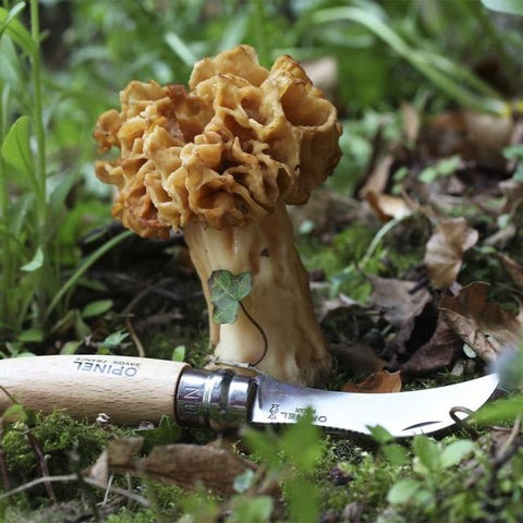 Couteau à champignon n°8 Opinel